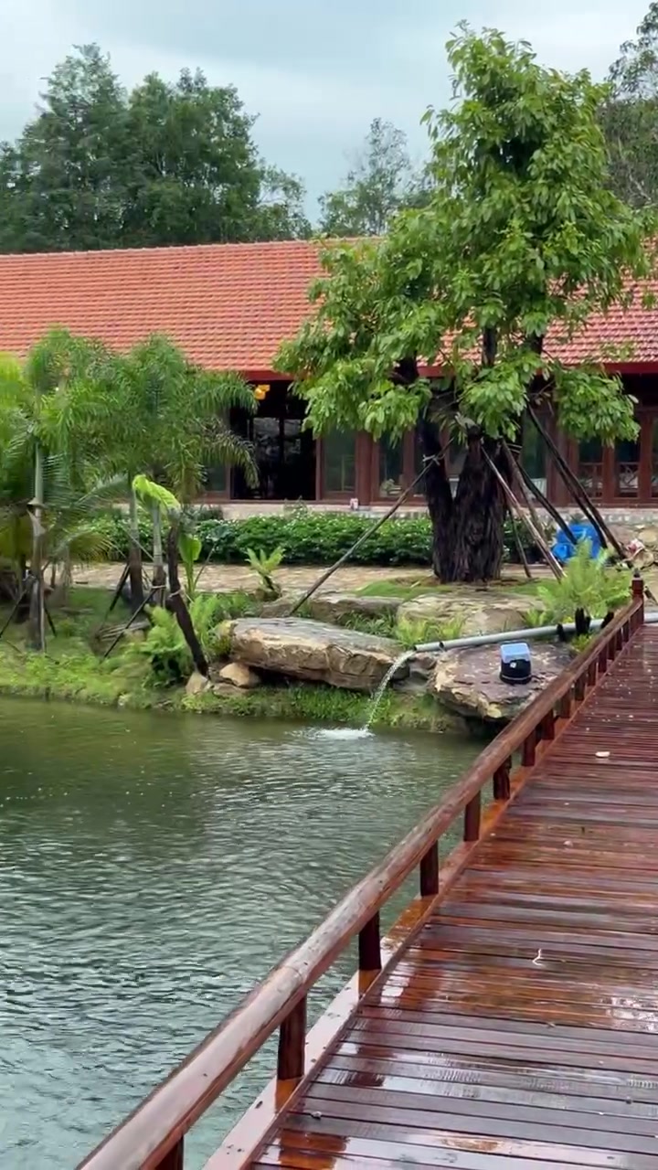 Cầu gỗ hướng về pavilion mái ngói đỏ