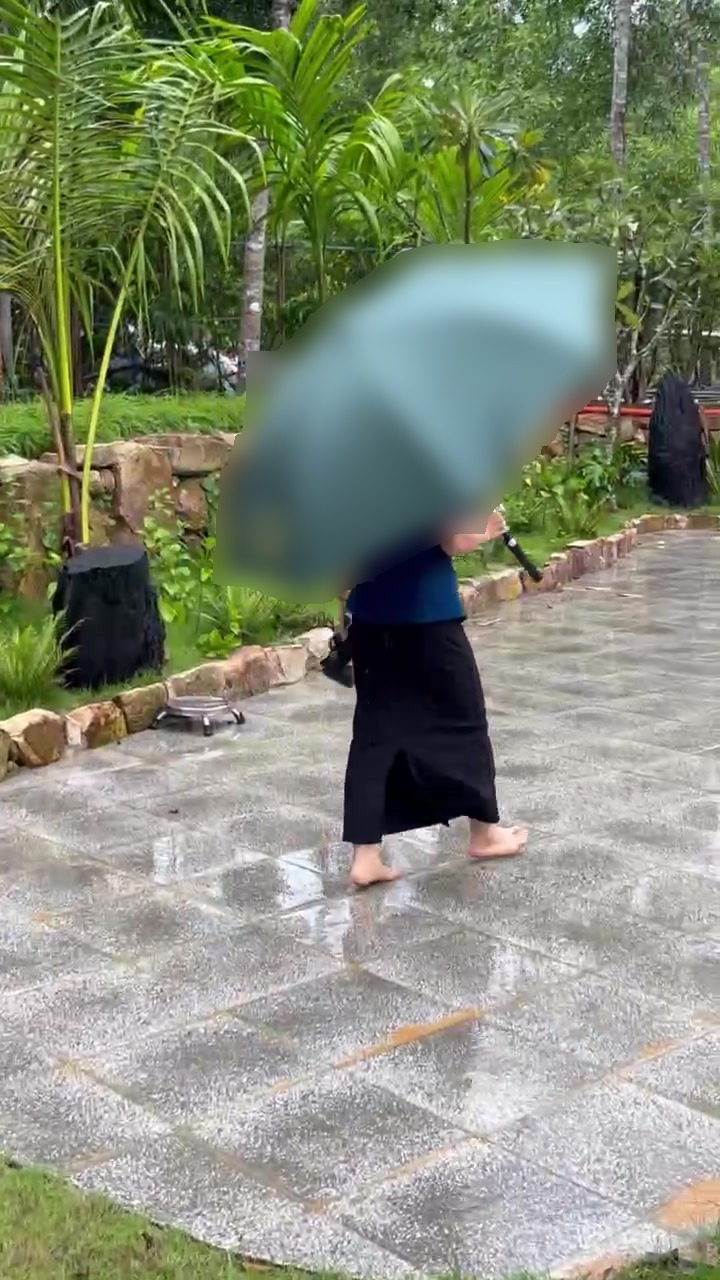 Lối đi trong vườn nhiệt đới sau cơn mưa